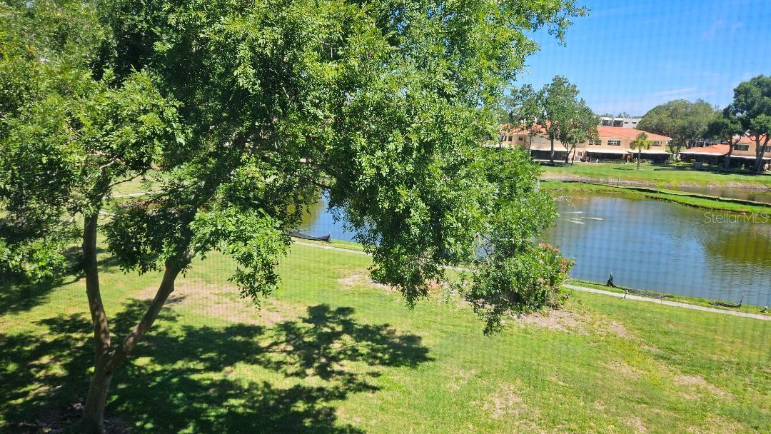 TERRACE PARK OF FIVE TOWNS - Residential