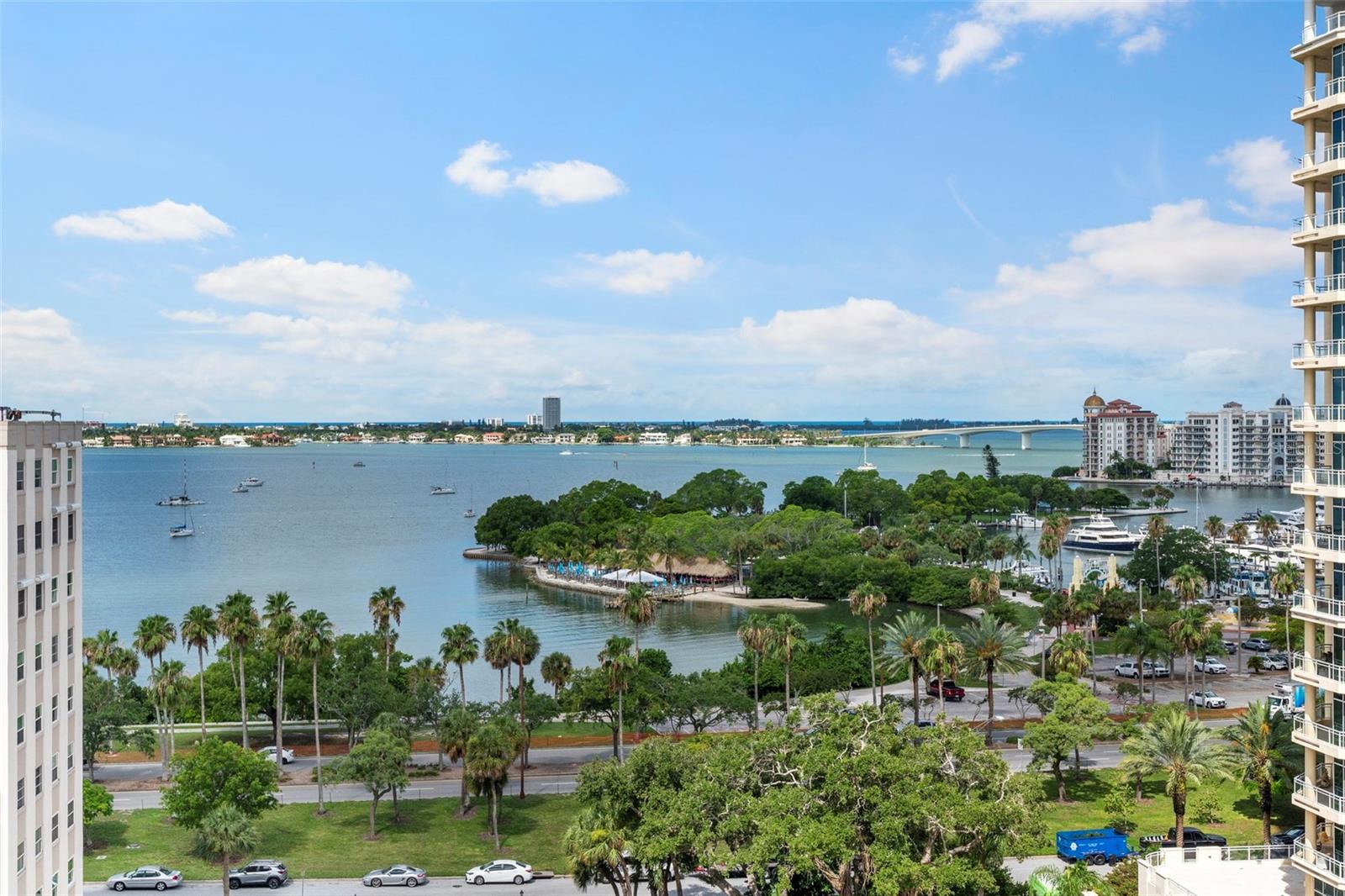 THE SAVOY ON PALM - Residential