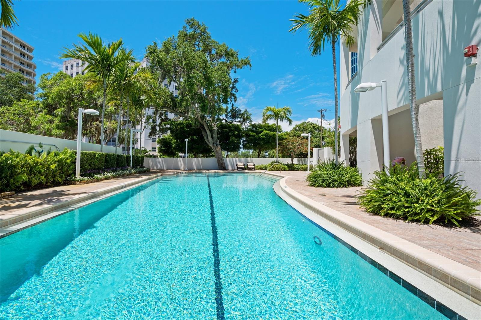 THE SAVOY ON PALM - Residential