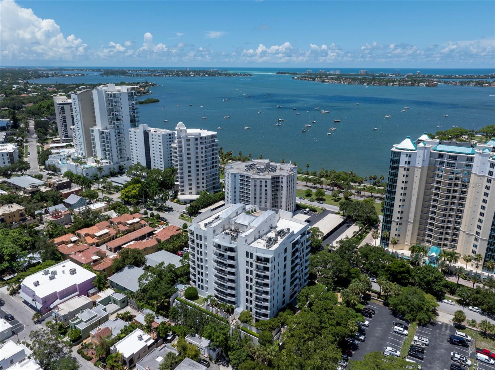 THE SAVOY ON PALM - Residential
