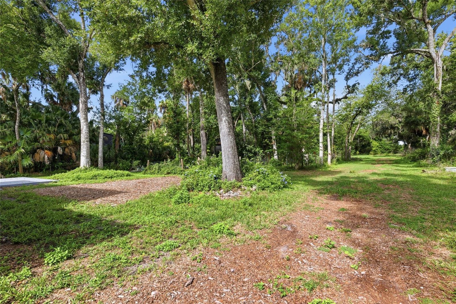 BRADEN OAKS - Residential