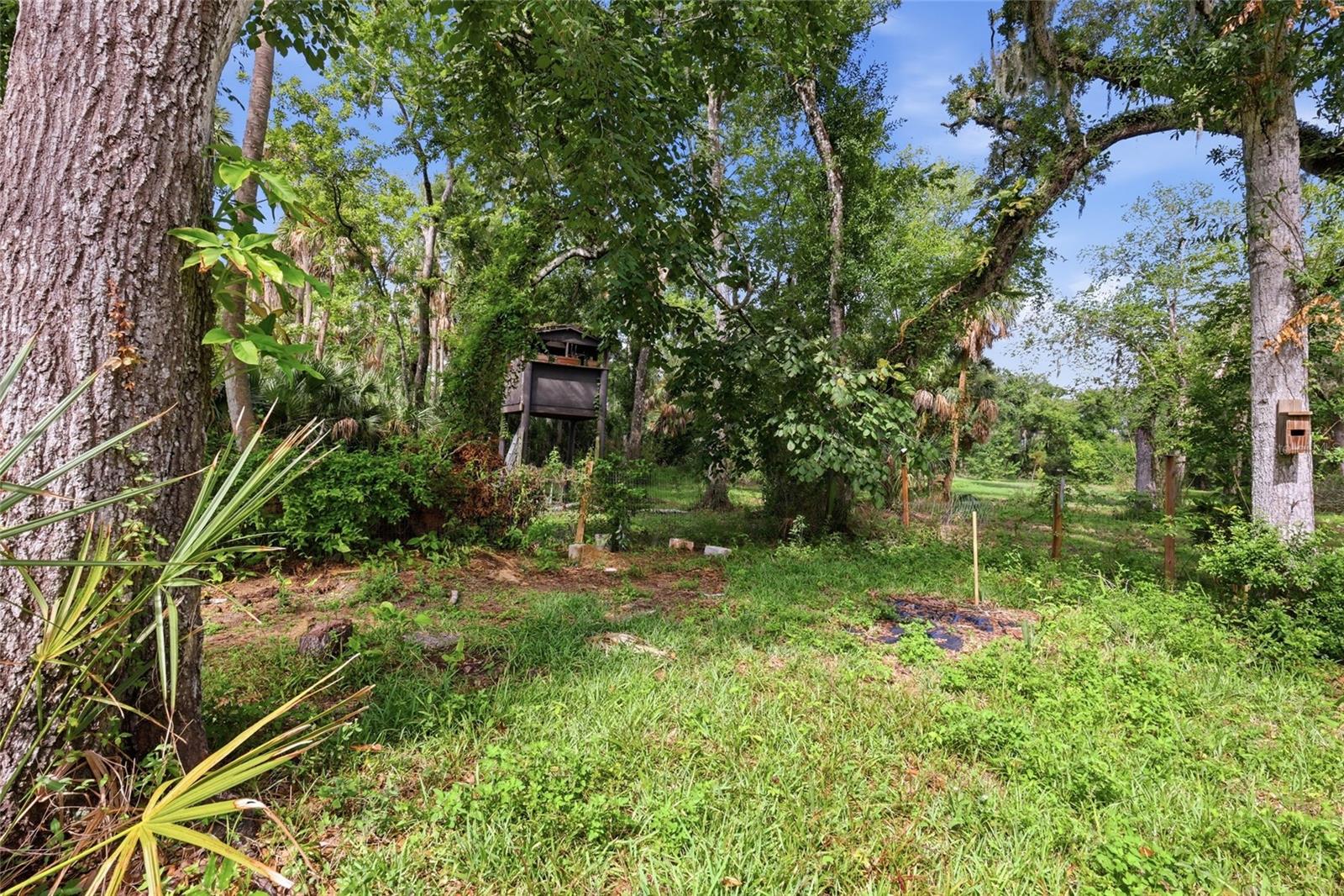 BRADEN OAKS - Residential