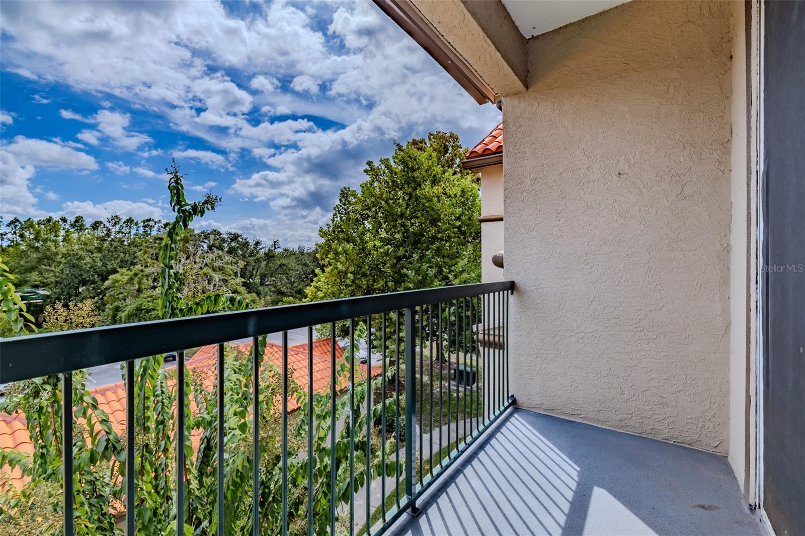 LAKEVIEW AT CALUSA TRACE - Residential