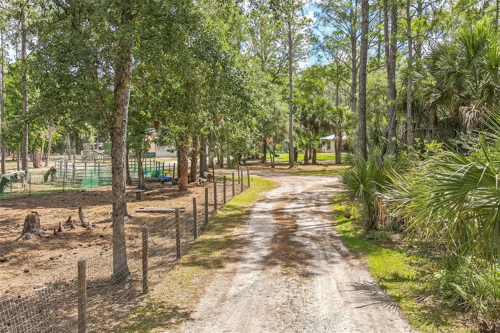 SEMINOLE FARMS - Residential