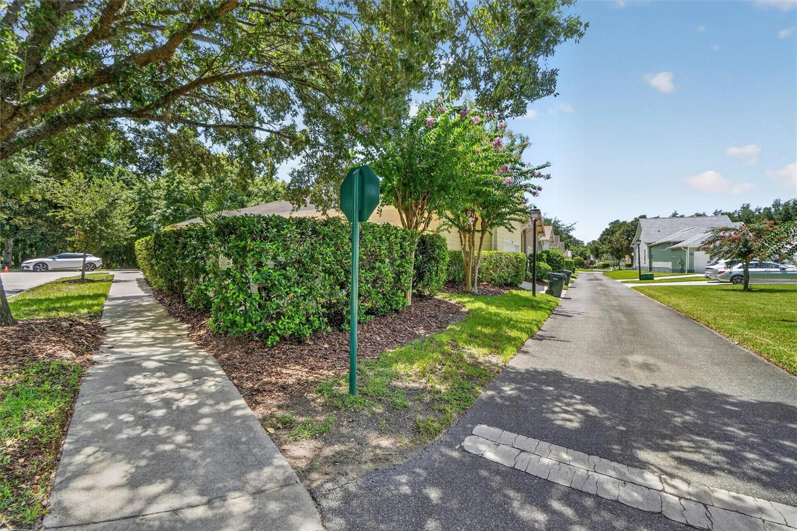 CELEBRATION SOUTH VILLAGE - Residential
