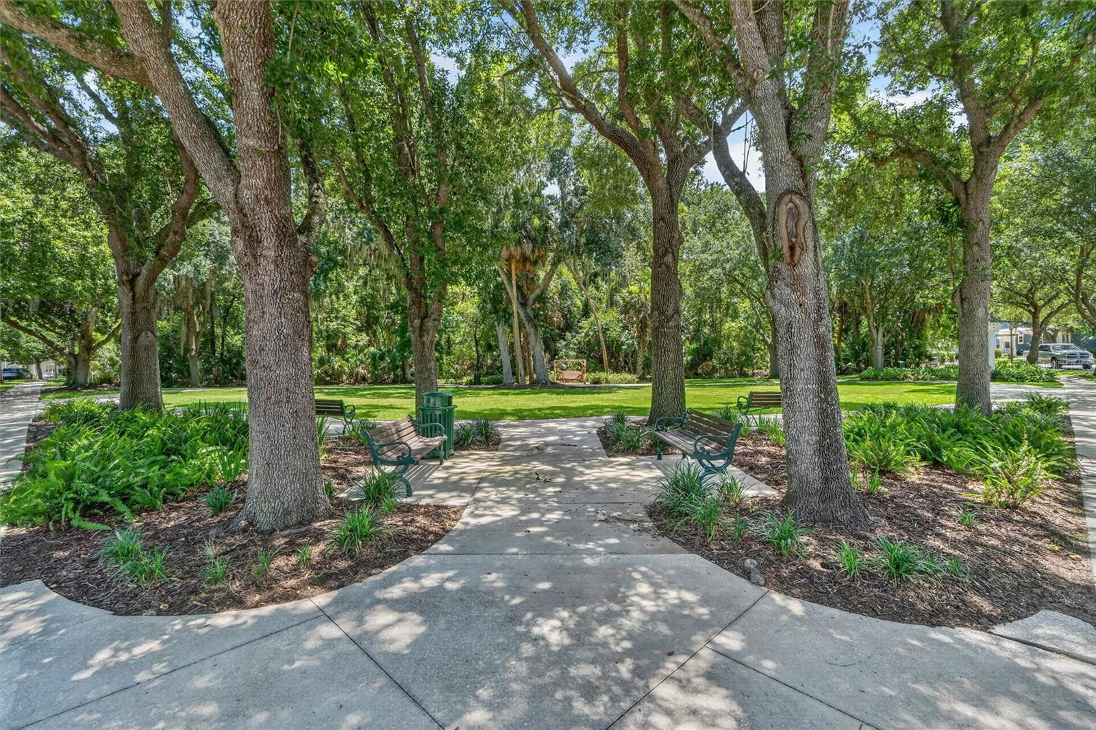 CELEBRATION SOUTH VILLAGE - Residential
