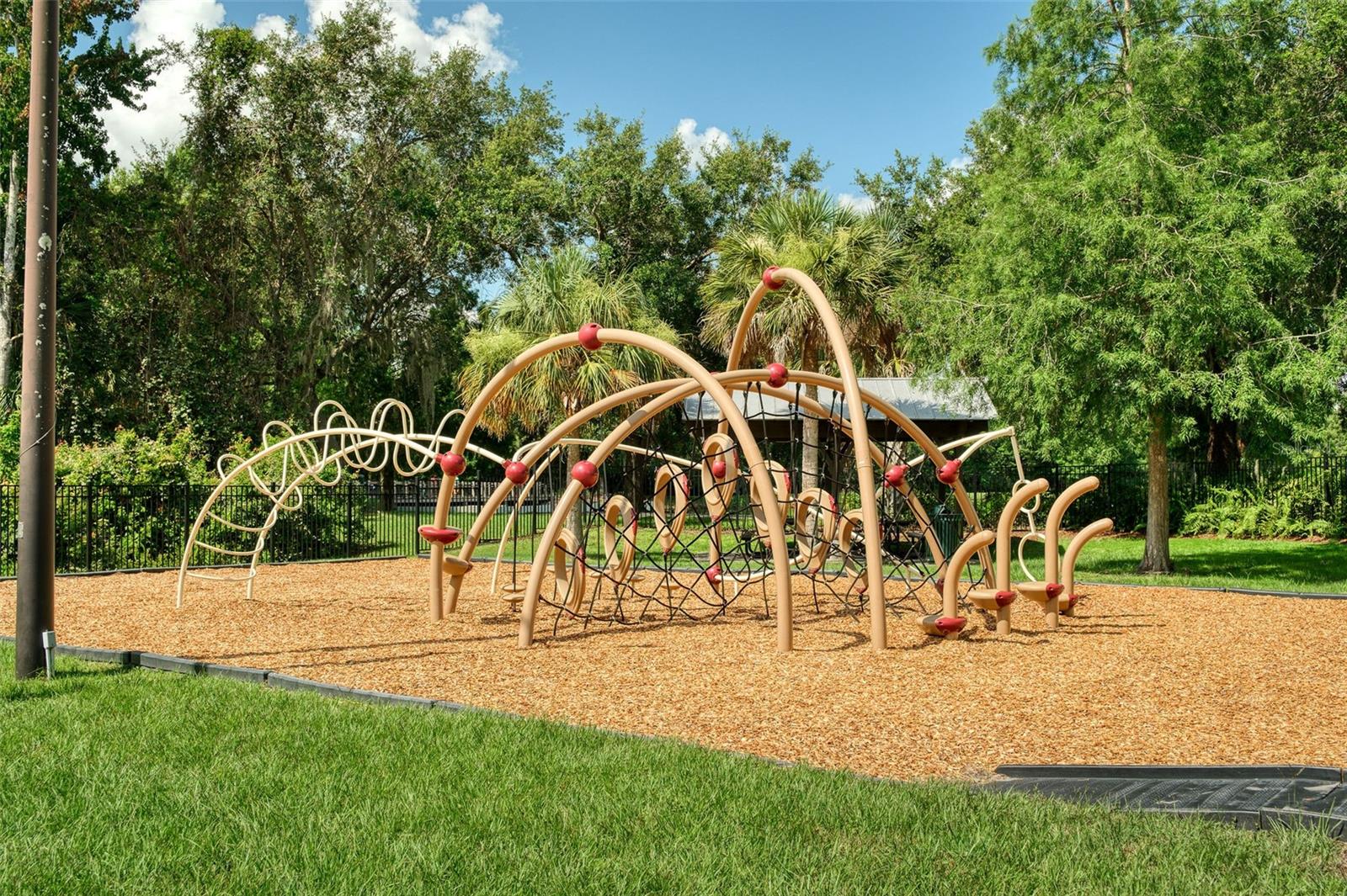 CELEBRATION SOUTH VILLAGE - Residential