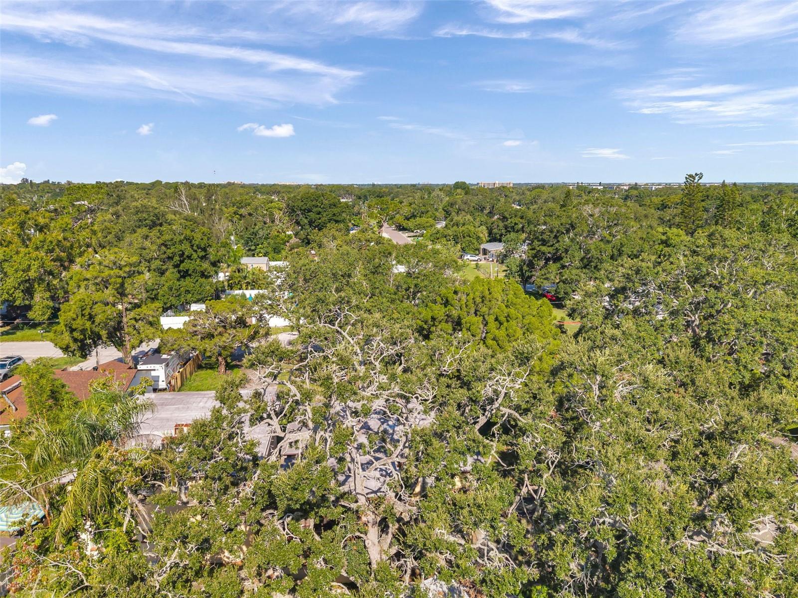 BARCELO PARK - Residential Income