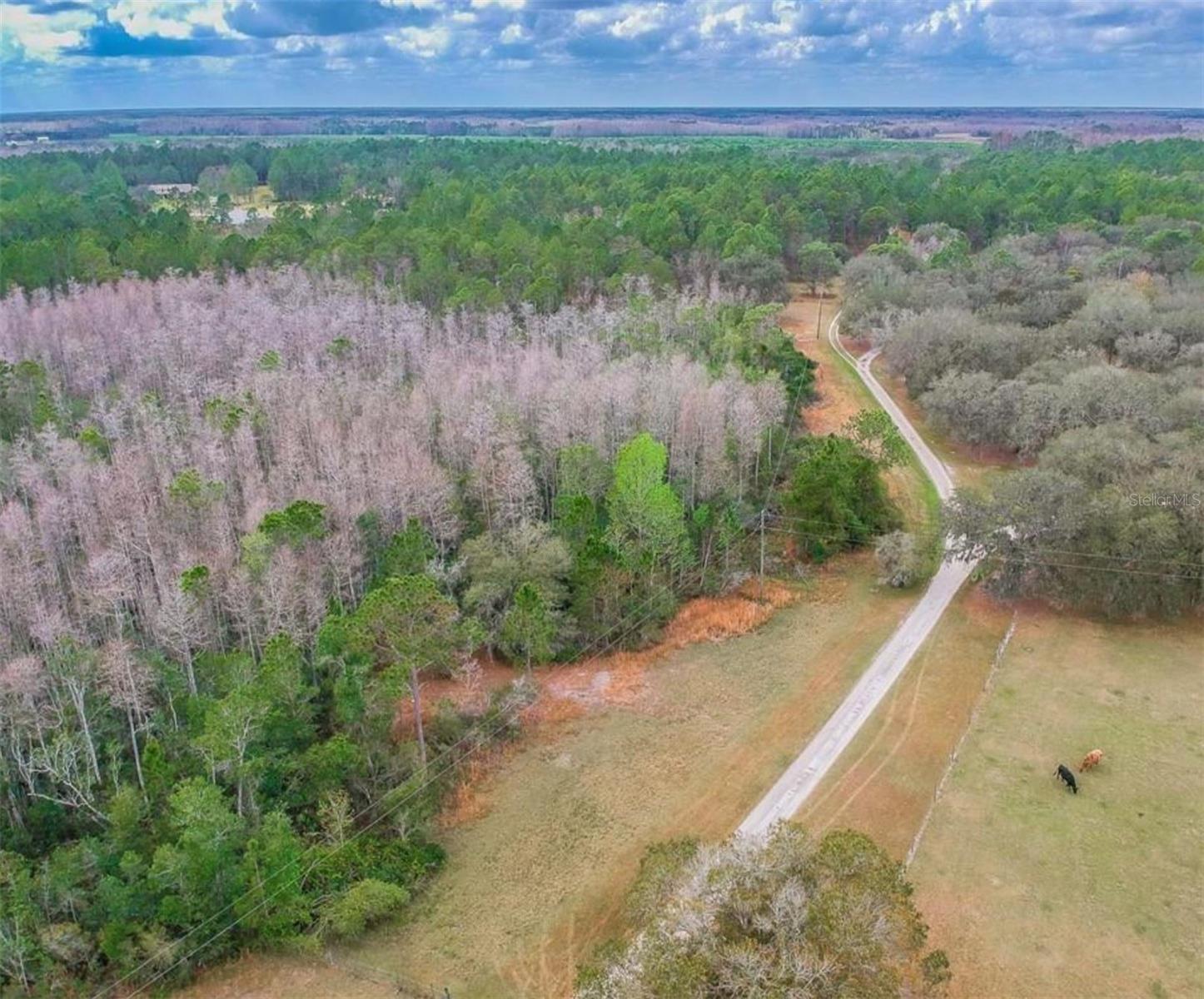 GROVELAND FARMS - Land