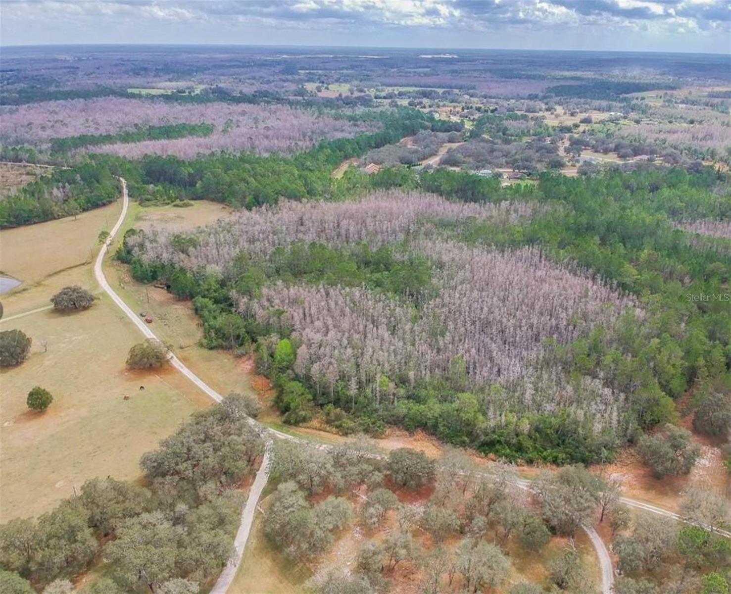 GROVELAND FARMS - Land