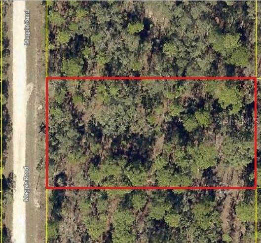 Nestled within the growing Royal Highlands area of Brooksville, this 1-acre property provides a wonderful opportunity to create the lifestyle you've been envisioning. Surrounded by the natural beauty of Florida's Nature Coast, this spacious homesite provides the perfect setting for a custom-built home with room for outdoor living areas, recreational vehicles, boats, gardens, and more. With water and electricity nearby, much of the groundwork for your future plans is already within reach. Imagine enjoying the privacy and freedom that come with owning a larger parcel while still being conveniently located near everyday amenities. Whether you're ready to build now or planning for the future, this property offers the flexibility and space to bring your vision to life. Conveniently located near the Suncoast Parkway for easy access to Tampa, the property is also close to Weeki Wachee Springs State Park, where crystal-clear waters offer kayaking, paddleboarding, swimming, and the famous live mermaid shows, as well as the Gulf Coast for boating, fishing, and waterfront dining. This is your chance to secure a piece of Florida land and create something truly your own.