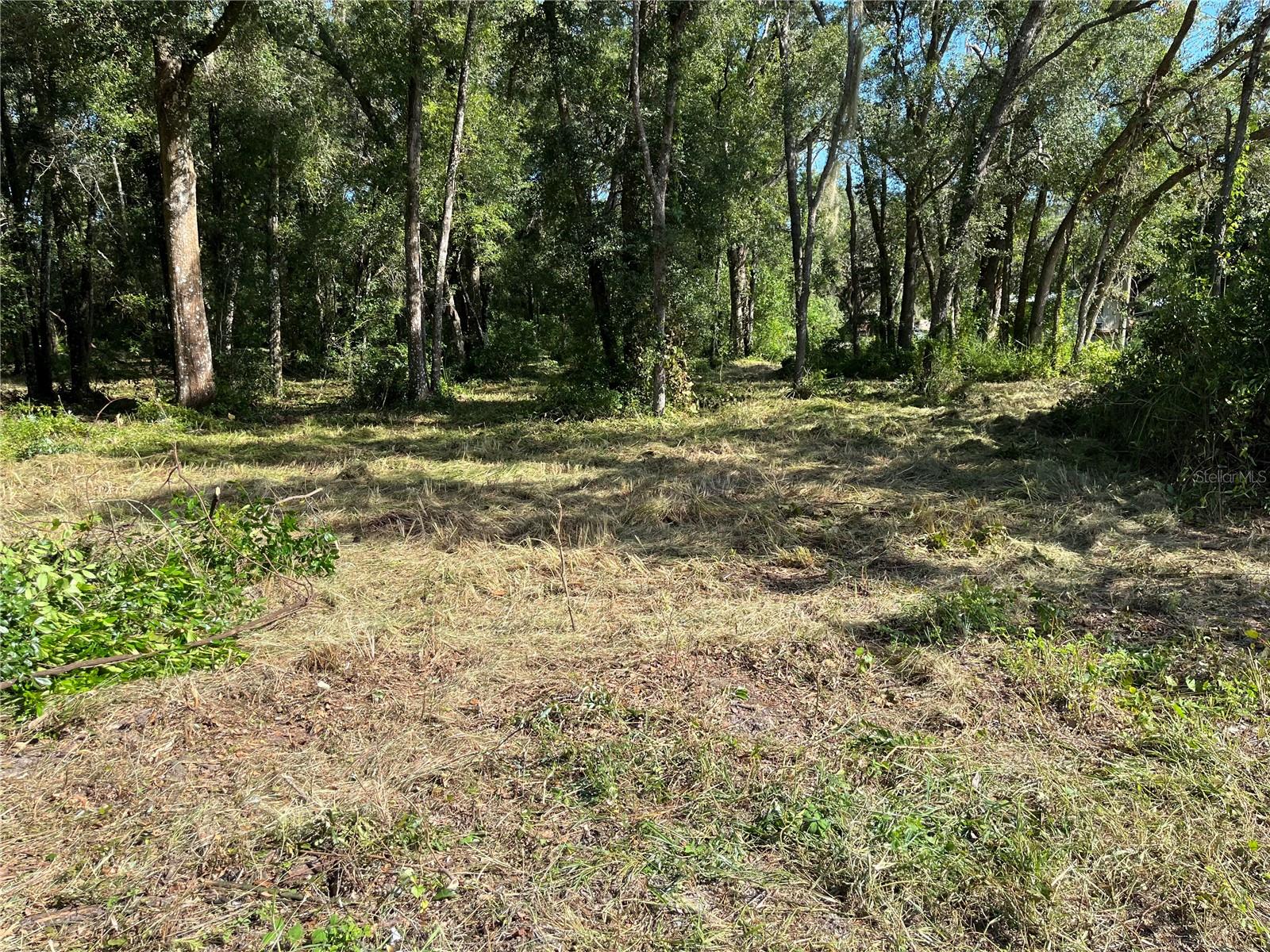 Four parcels included in this purchase totaling 5 plus acres.  The properties are located within minutes from outdoor attractions including museum, movie theatre and golf course.  There are various local shops, parks and restaurants nearby.  Also located nearby I-75 for a quick commute.
