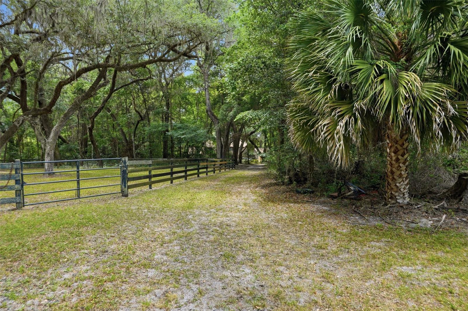 NEWSOME ESTATES - Residential
