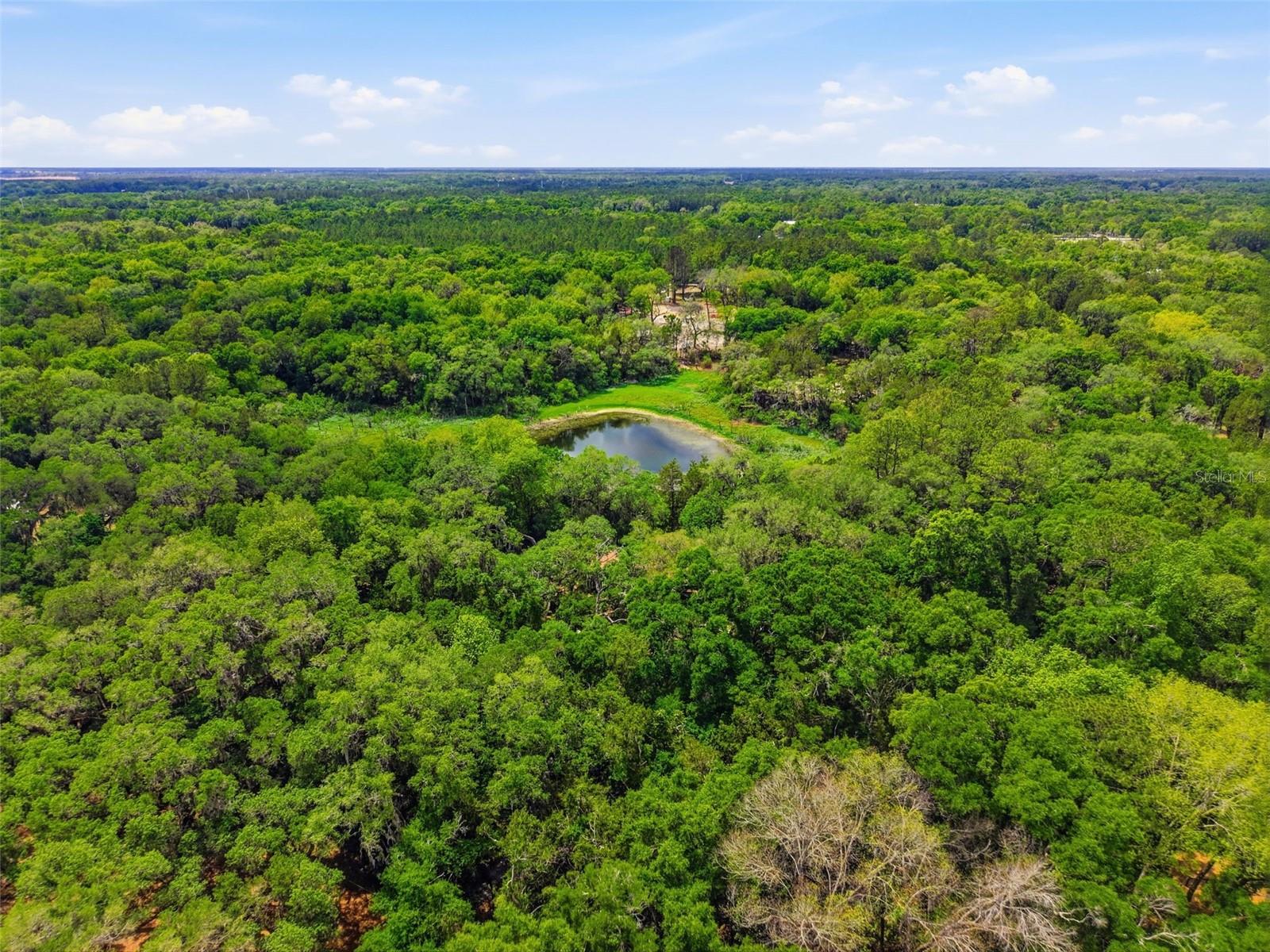 NEWSOME ESTATES - Residential