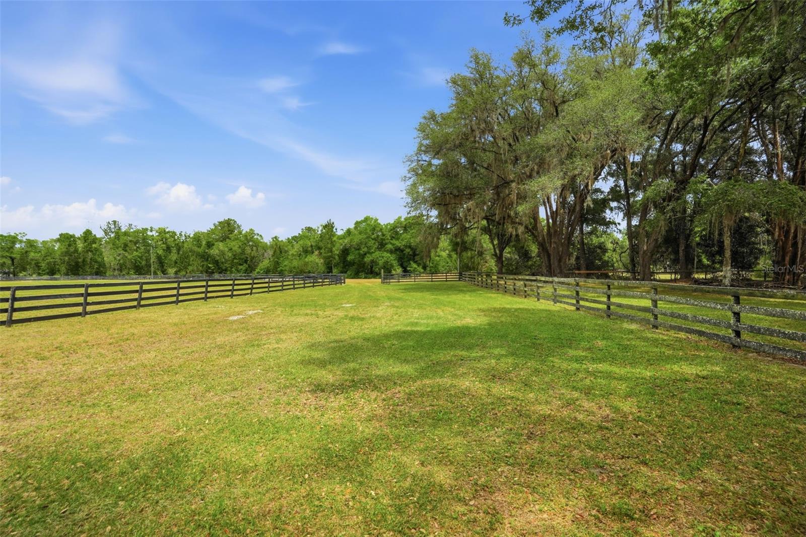 NEWSOME ESTATES - Residential