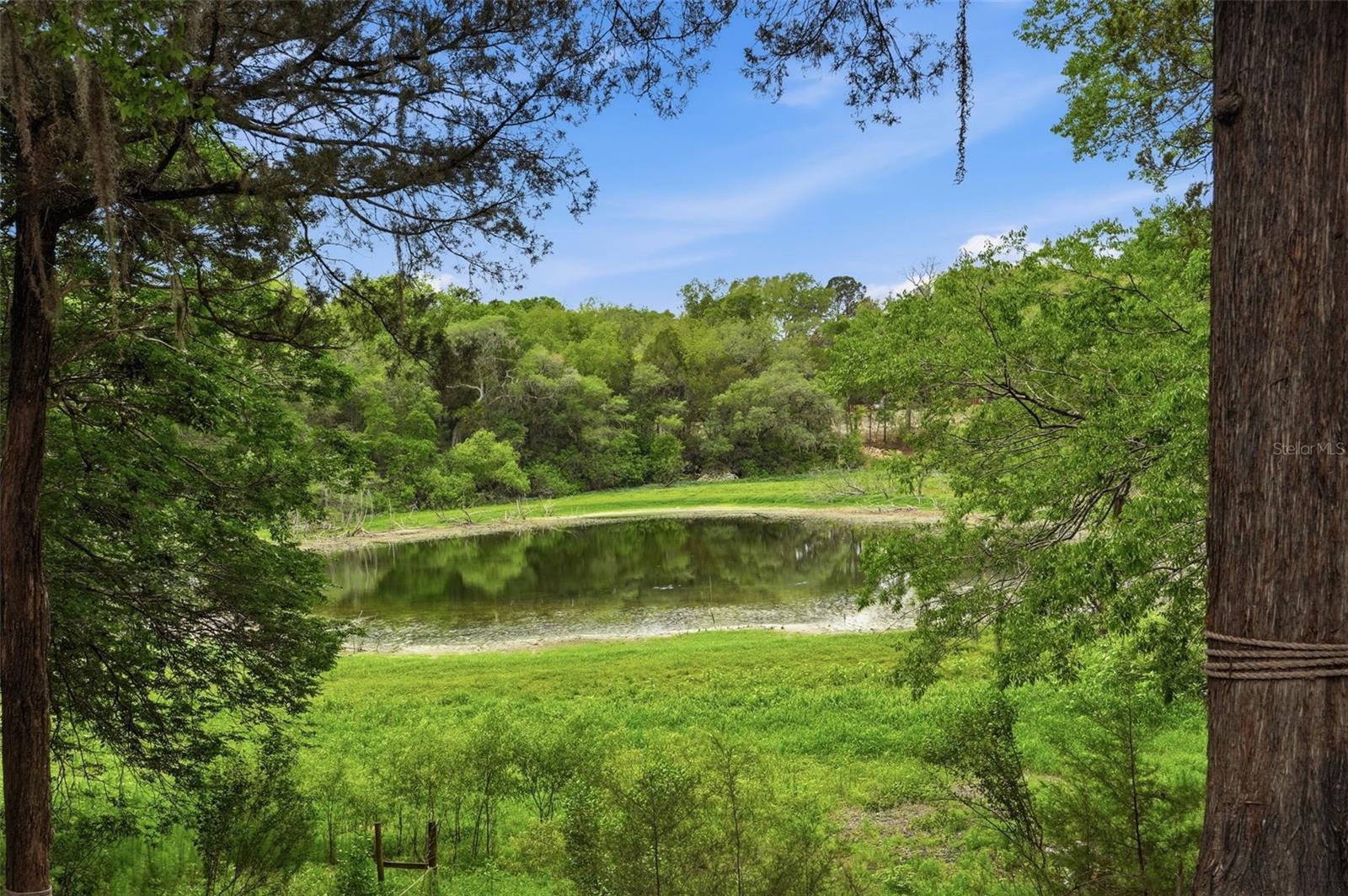 NEWSOME ESTATES - Residential