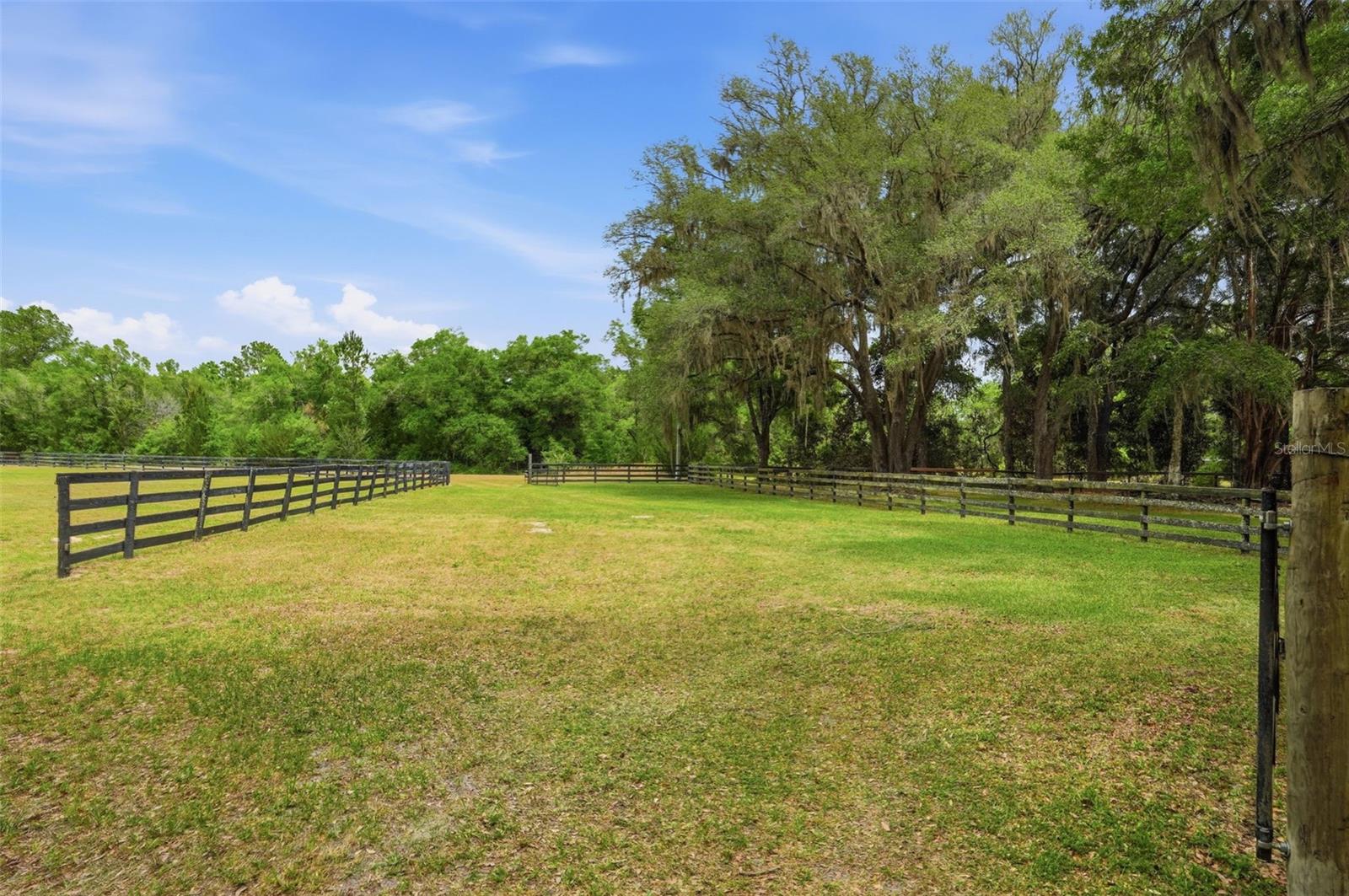 NEWSOME ESTATES - Residential