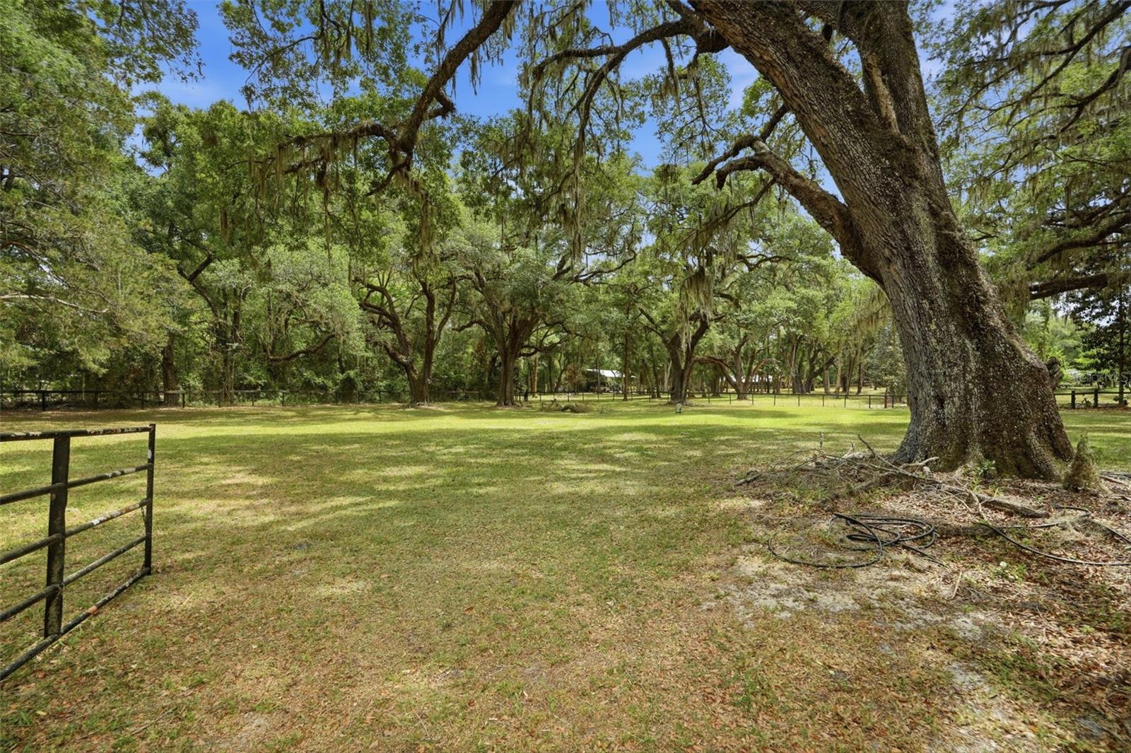 NEWSOME ESTATES - Residential