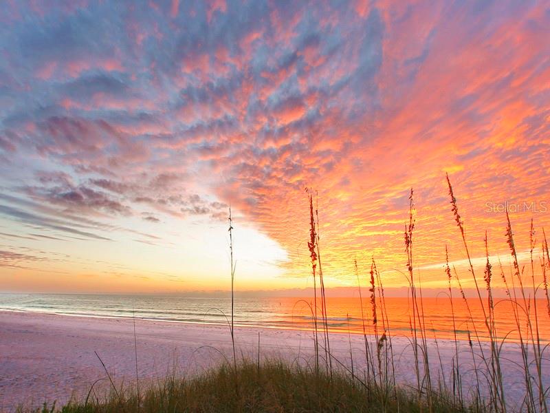 SARASOTA BEACH - Residential