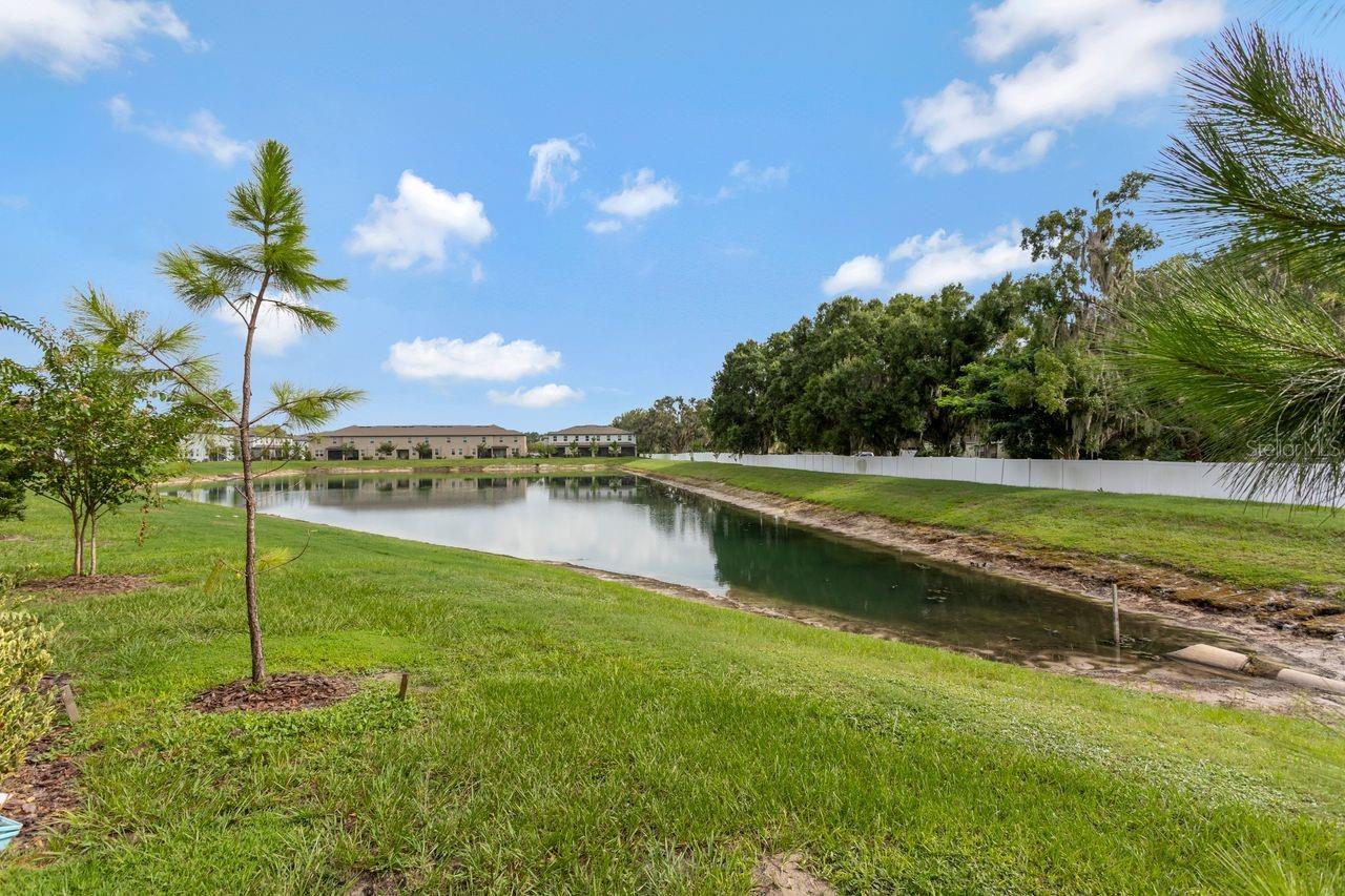 THE TOWNES AT LAKE THOMAS - Residential