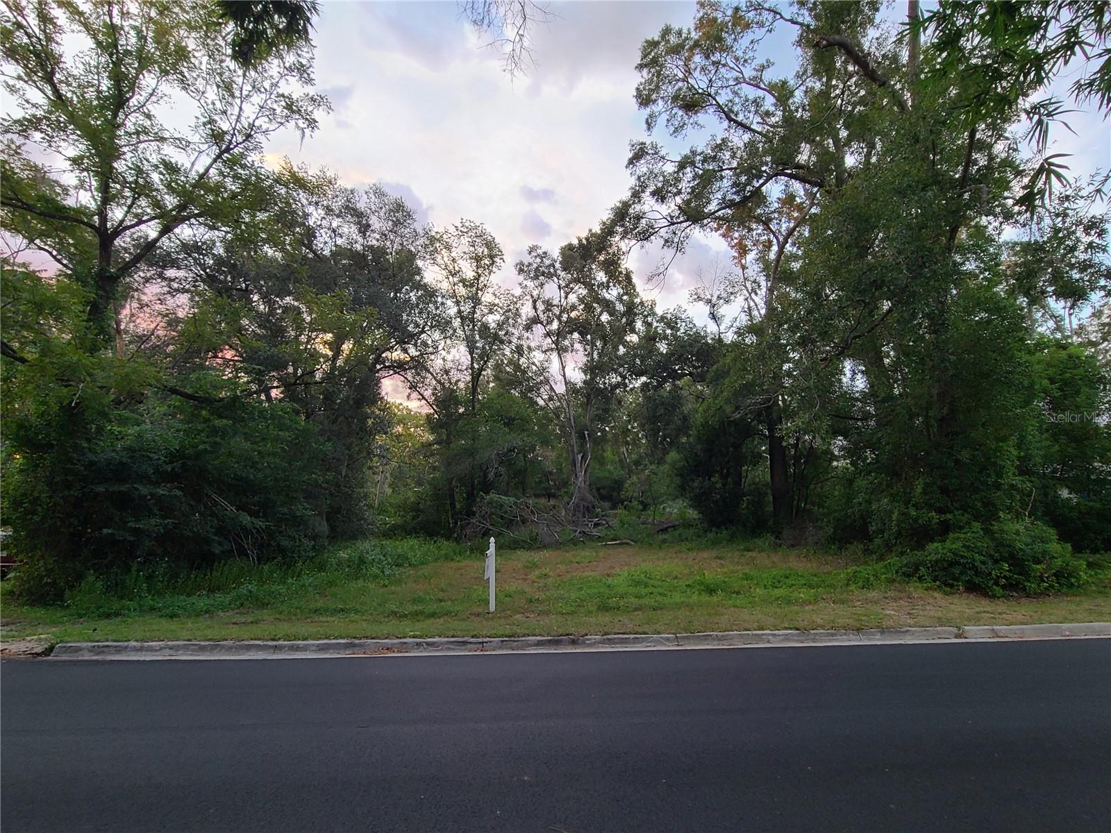 Residential corner lot, 6 walkable blocks from the center of downtown High Springs.   Also close by is a convenience store serving ice cream, pizza, bait for fishing etc.   Purchaser of lot would have to secure water/sewer from the City of High Springs, and electricity from Duke Energy.   There is currently not any utilities.