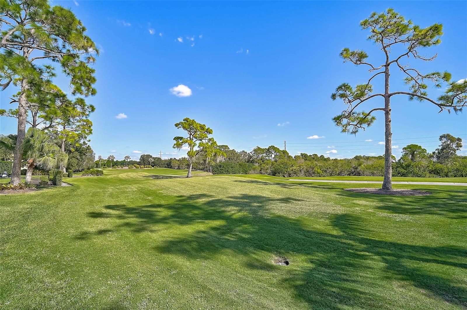 OAKS 2 PH 4-C PT 3 - Residential