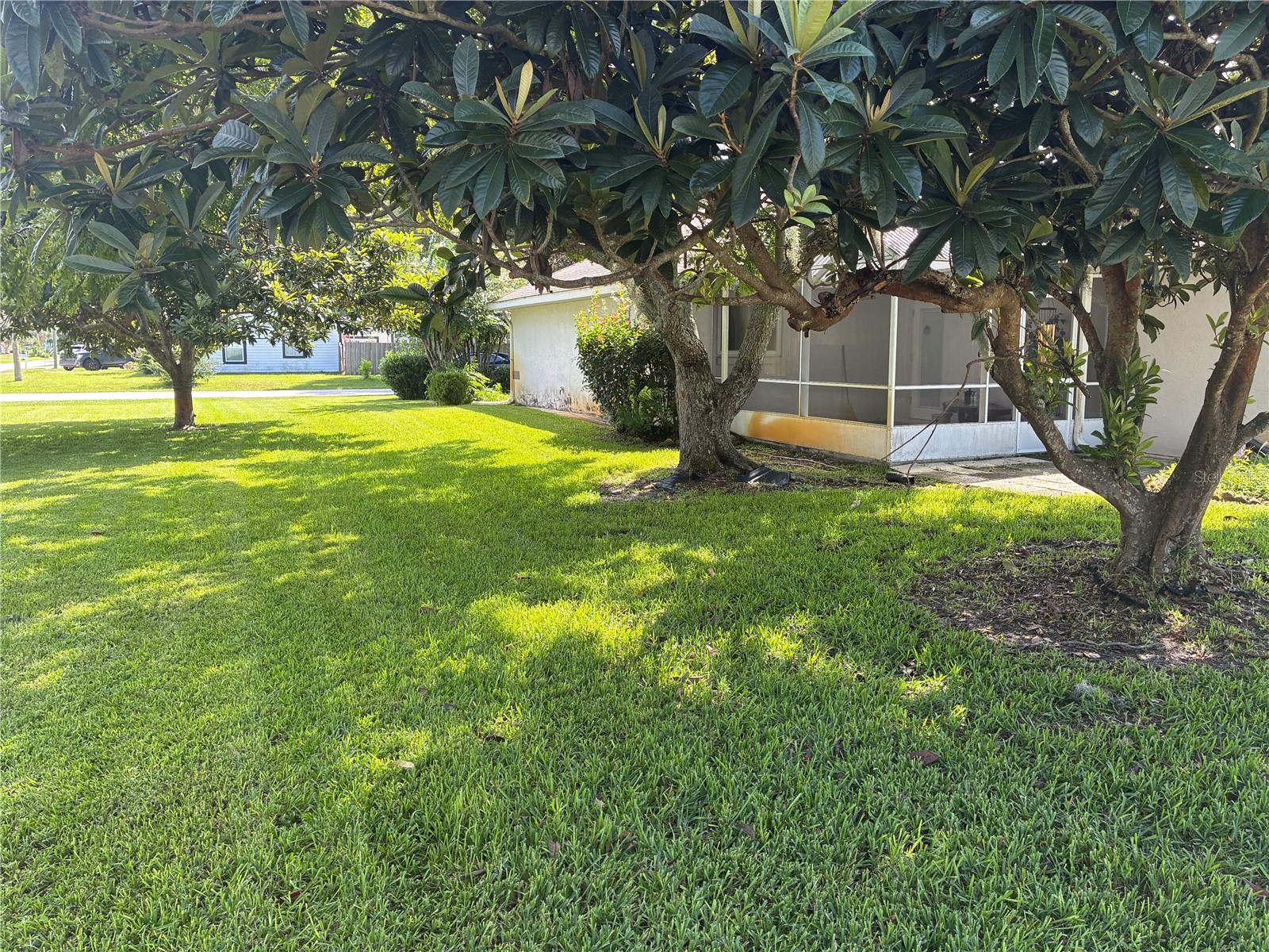 PALM COAST SECTION 13 - Residential