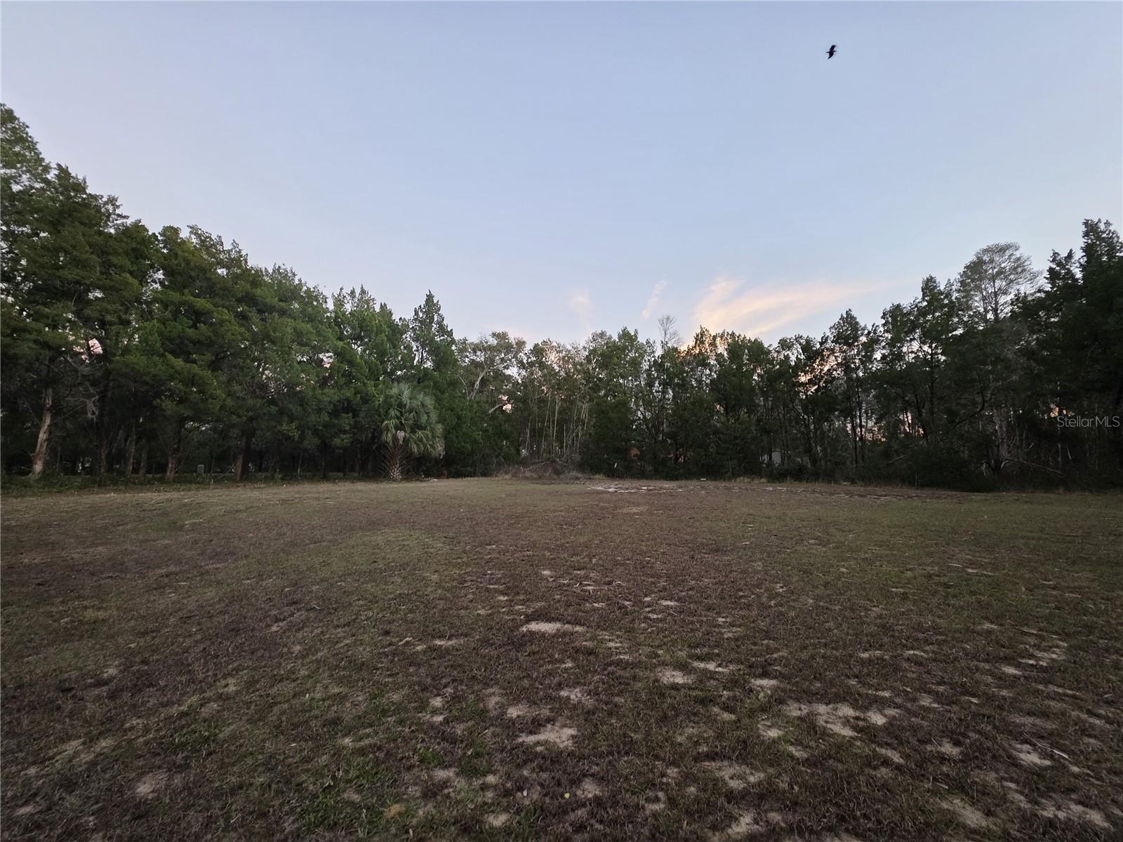FRUITLAND PARK - Residential