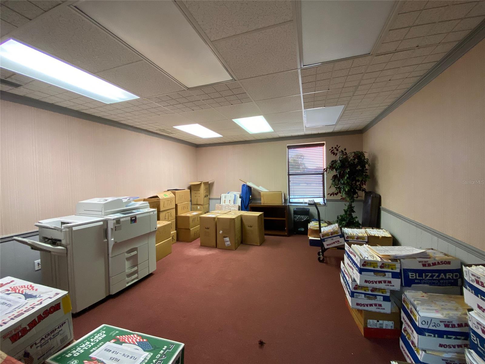 Andrews New Smyrna - Commercial Sale
