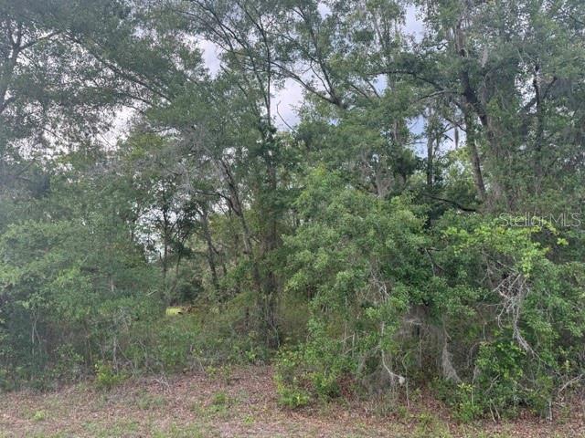 LAKE BONNET ESTATES PH II - Land