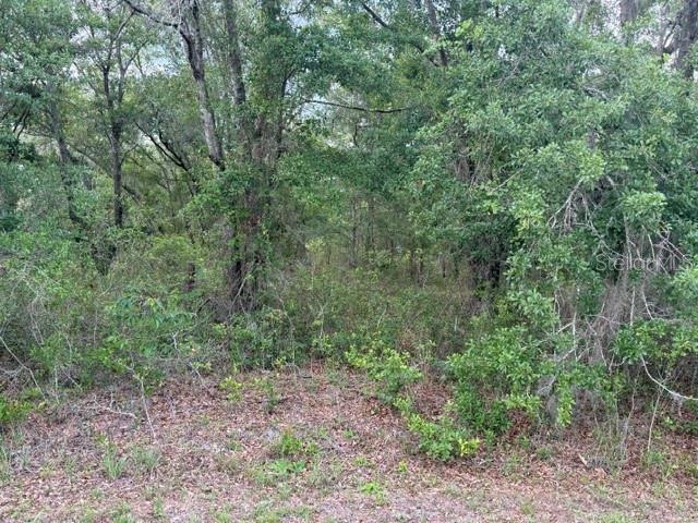 One acre homesite with paved road frontage.  Located near Historic Melrose, Lake Bonnet and Lake Santa Fe, the perfect place for quiet country living.  You have endless possibilities, custom home, weekend getaway or future investment. This property gives you room to make it happen. Mobile homes welcome!
