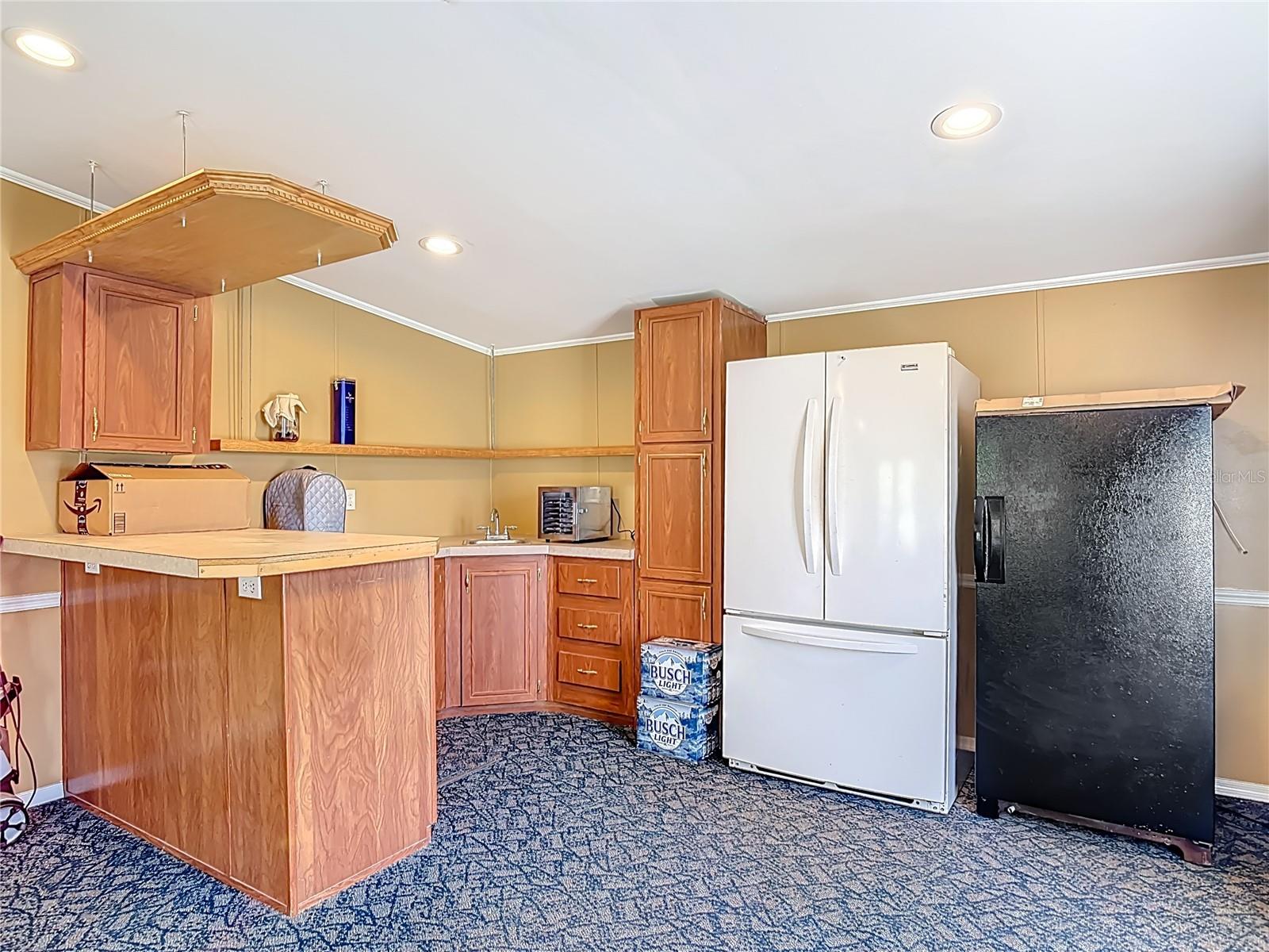 LAKE KATHRYN HEIGHTS REP - Residential