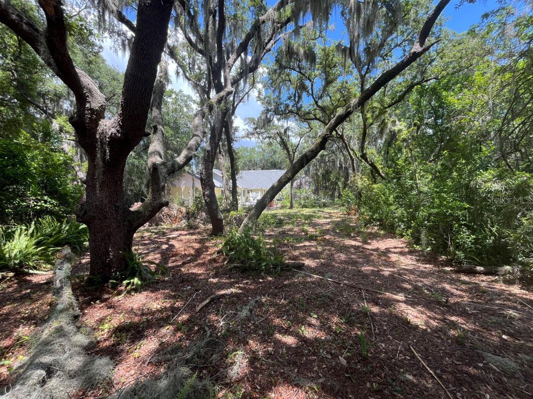 AUBURNDALE LAKESIDE PARK - Residential