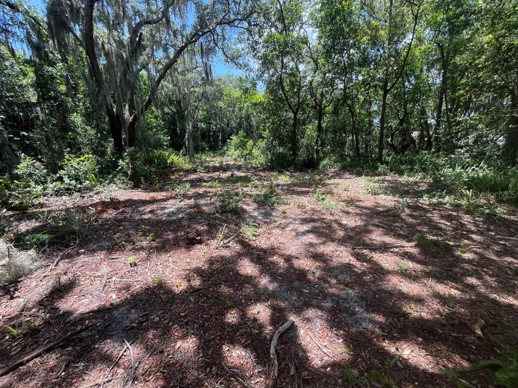 AUBURNDALE LAKESIDE PARK - Residential
