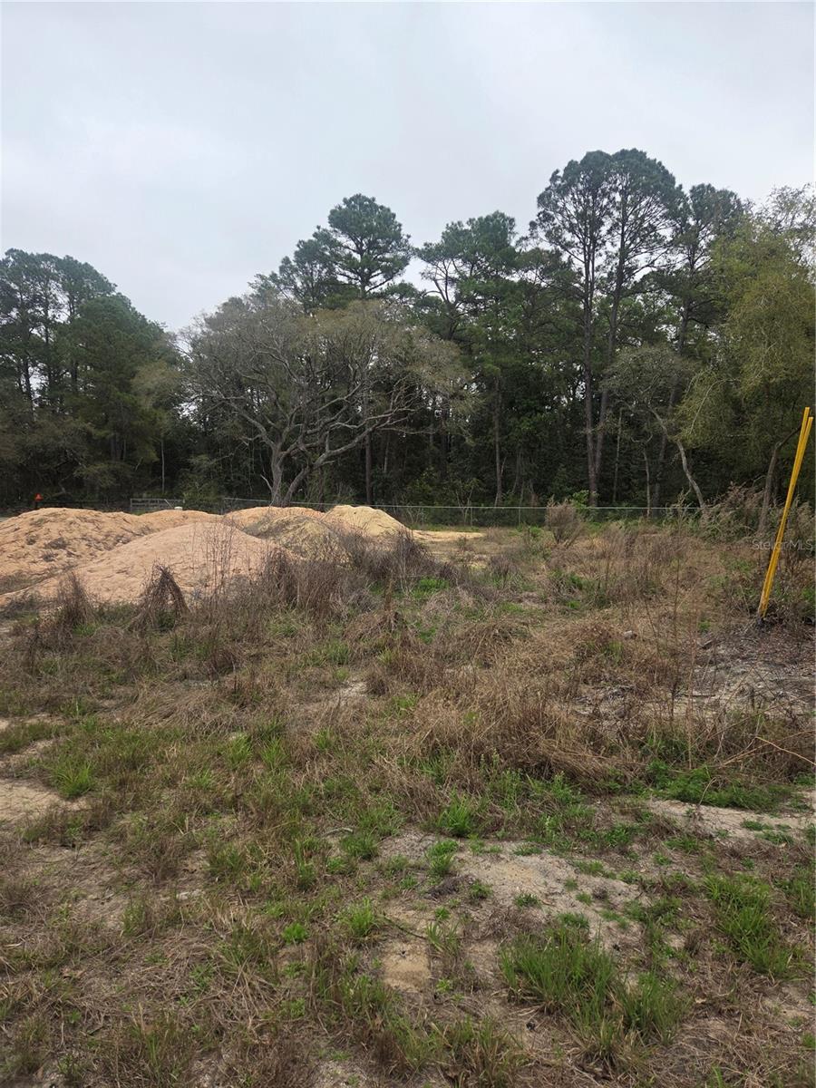 SILVER SPRINGS SHORES UNIT 44 - Land