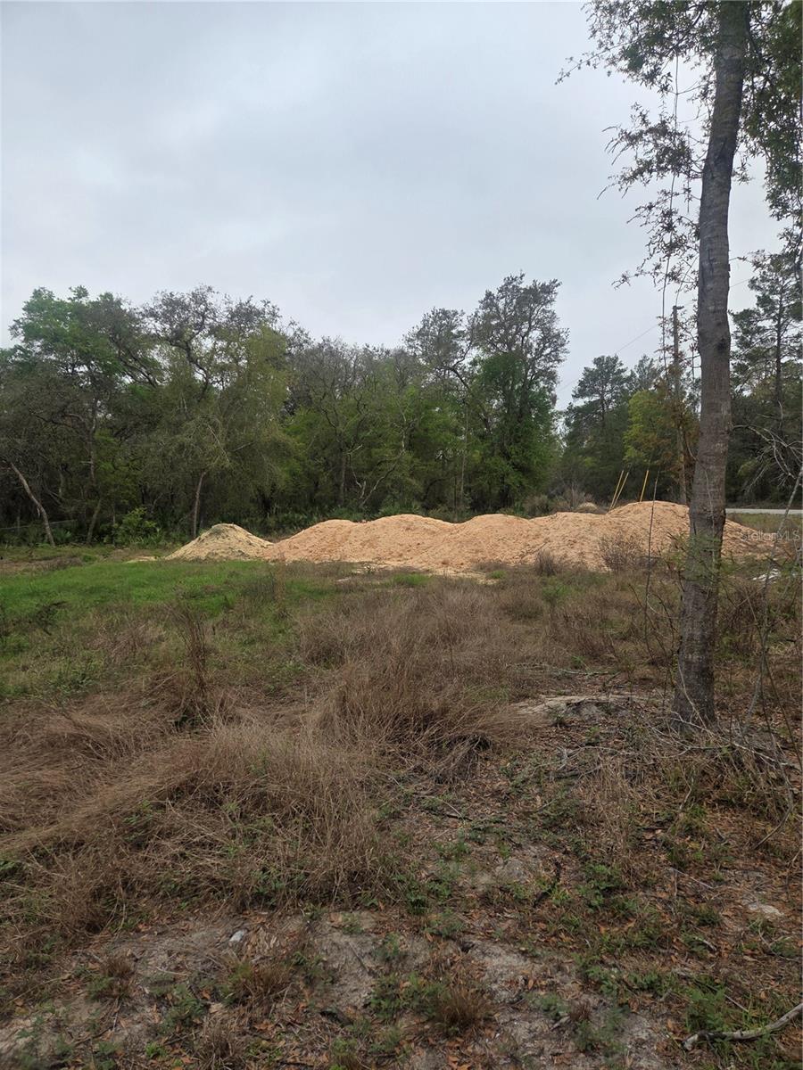SILVER SPRINGS SHORES UNIT 44 - Land