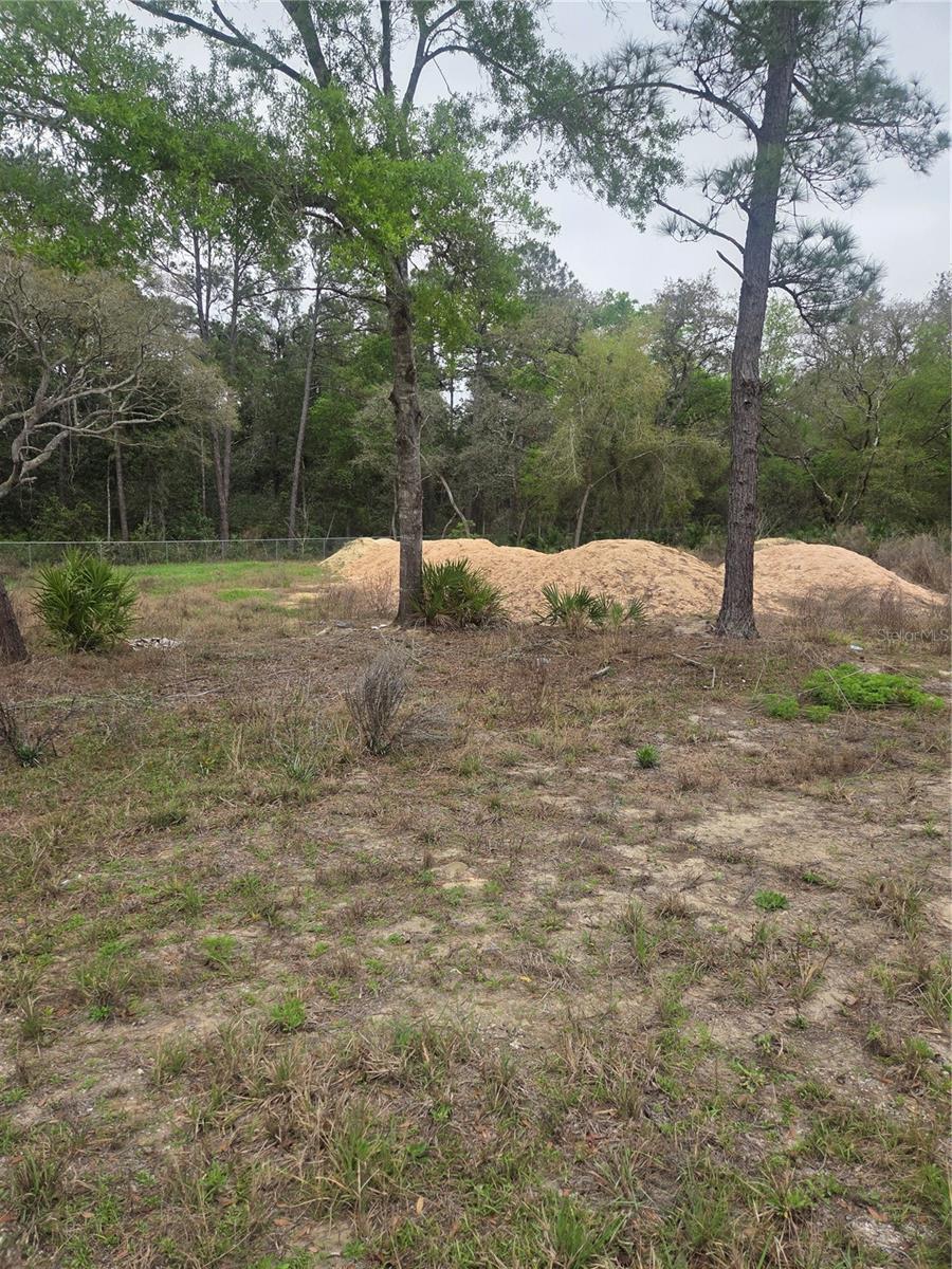 SILVER SPRINGS SHORES UNIT 44 - Land