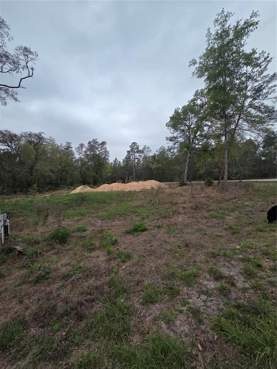 SILVER SPRINGS SHORES UNIT 44 - Land