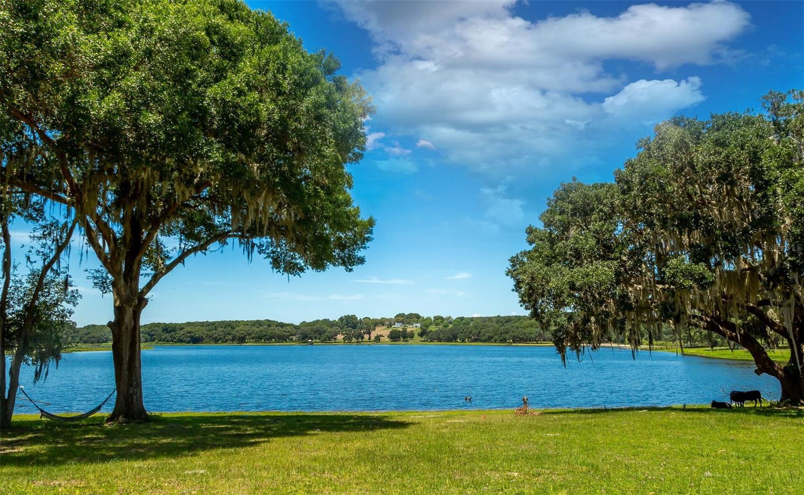 SPRING LAKE VALLEY ESTATES - Land