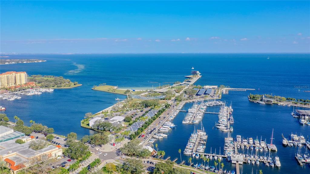 ONE ST PETERSBURG CONDO - Residential