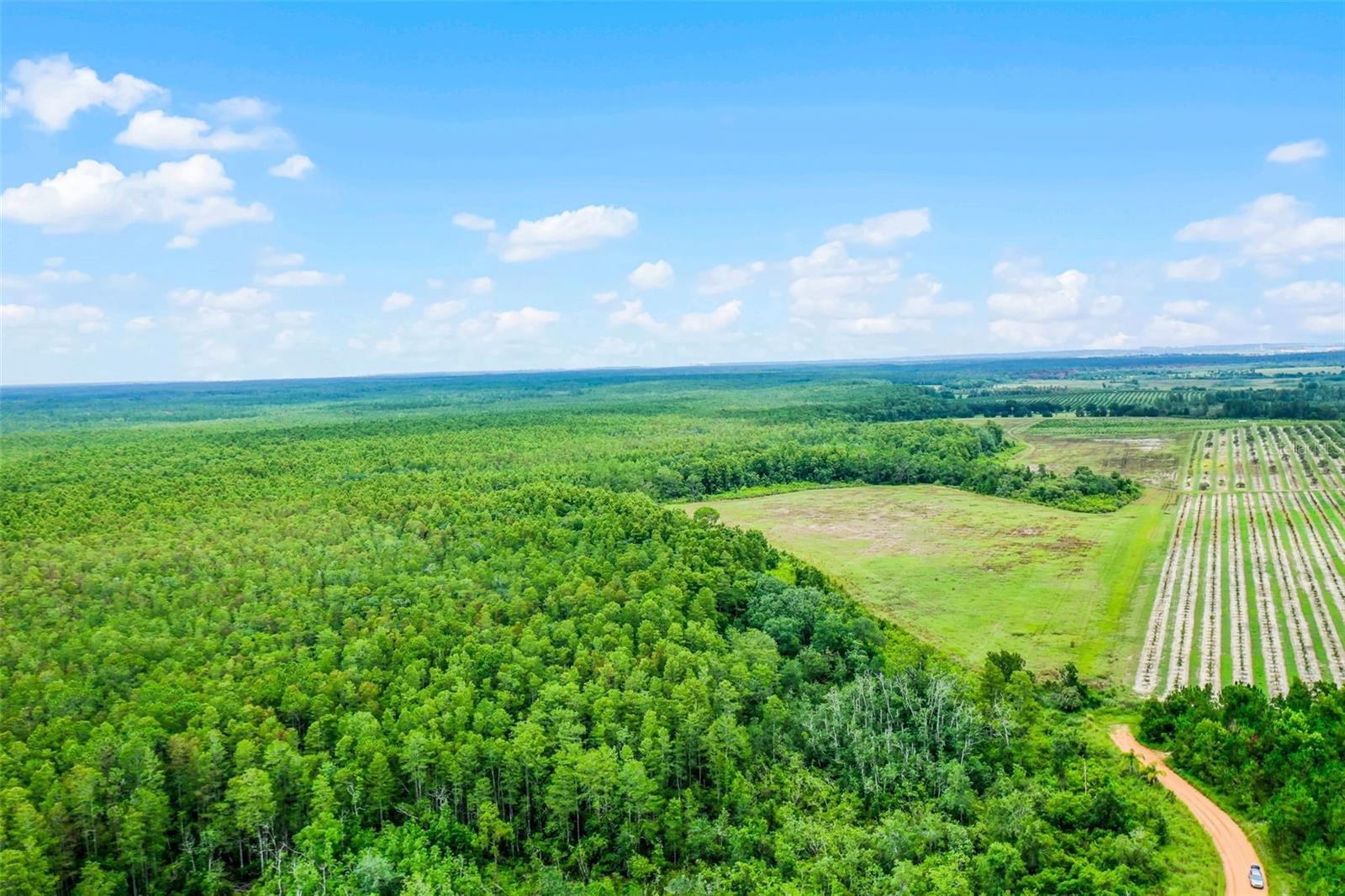 PRICE REDUCED! Clermont 22.5 Acres - So close to Disney World! Escape to the serene beauty of pristine wooded acreage in an excellent location consisting of wetlands and approx. 7 acres dry uplands in the central portion per seller and located in desirable southern Clermont, Florida. Offering an opportunity for owners, investors and developers alike, it is being offered at a greatly reduced price. Owner motivated! All reasonable offers considered. One popular option to reestablish access to the property is to obtain an Easement / Statutory Way of Necessity (Florida Statute §704.01 and §704.04 per ChatGPT). Acreage was appraised in June 2008 for $665,000 when it had access via South Boggy Marsh Rd. Offering a scenic and tranquil setting, with a pond abutting the property (not on the property).  Close-proximity to a luxury gated large-lot horse community (including Disney executive owners) confirms the area's excellent location. Only a short drive from SR 27 and SR 474, this land holds significant appeal for those looking to invest in this thriving and growing tourism sector. Property is bordered by a closed Boggy Marsh Road section on the eastern side, but offers a history of road access. You may then unlock the full potential by pursuing a Zoning change and possibly develop more than the current one residential unit on 25 acres, for agricultural use, or just use your imagination! Don't miss out on this rare opportunity to own a substantial piece of the American Dream in a sought-after location. 30-year land-lender financing available to qualified buyers and 2-year Seller financing is offered. Sold AS-IS. Buyer to confirm all information, please. It's time to make this way-below-market priced acreage yours today!