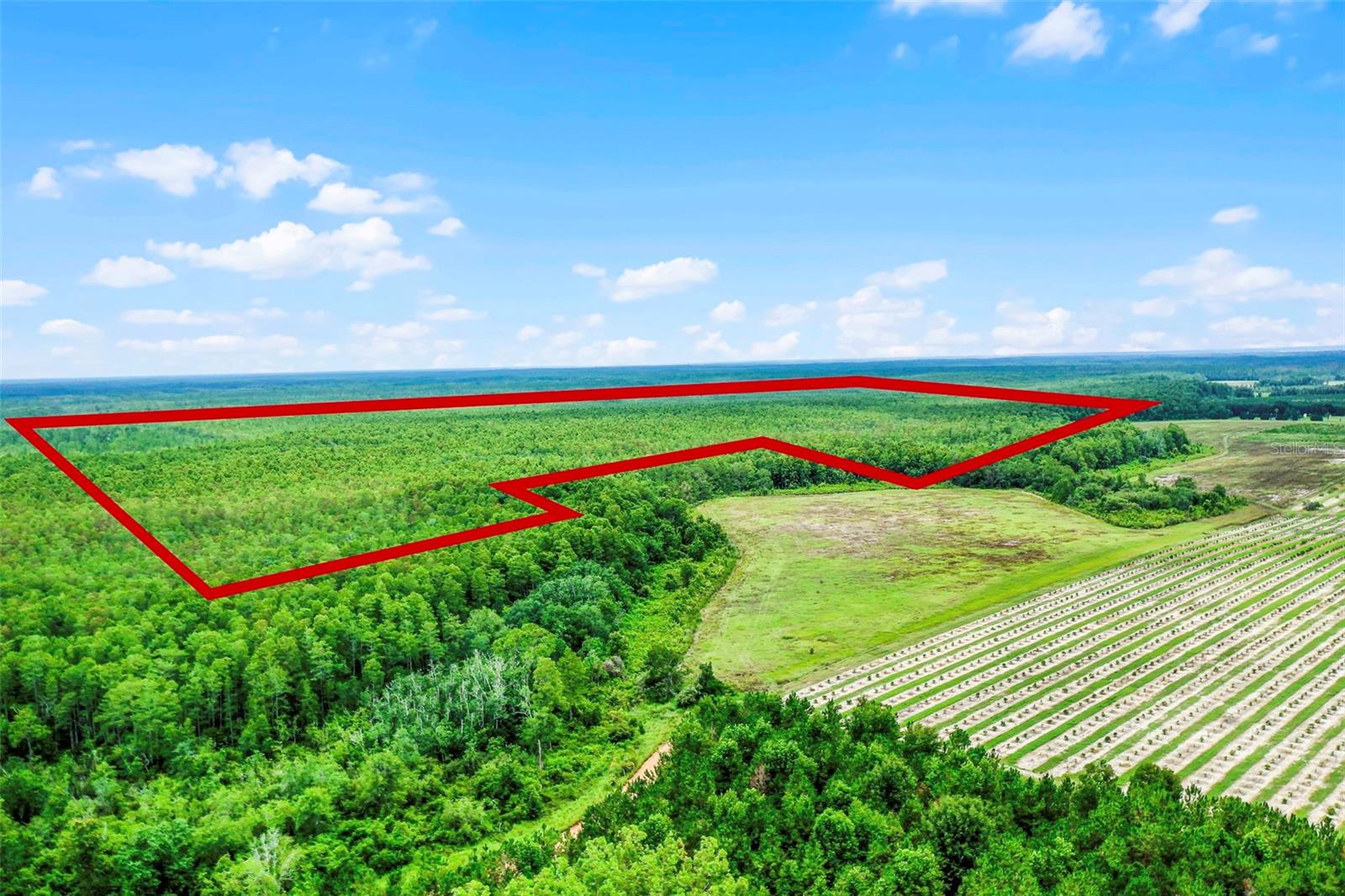 PRICE REDUCED! Clermont acreage - Check out this 22.5 acre parcel so close to Disney World! Escape to the serene beauty of pristine wooded acreage in an excellent location consisting of wetlands and approx. 7 acres dry uplands in the central portion per seller and located in desirable southern Clermont, Florida. Offering an opportunity for owners, investors and developers alike, it is being offered at a greatly reduced price. Owner motivated! All reasonable offers considered. One popular option to reestablish access to the property is to obtain an Easement / Statutory Way of Necessity (Florida Statute §704.01 and §704.04 per ChatGPT). Acreage was appraised in June 2008 for $665,000 when it had access via South Boggy Marsh Rd. Offering a scenic and tranquil setting, with a pond abutting the property (not on the property).  Close-proximity to a luxury gated large-lot horse community (including Disney executive owners) confirms the area's excellent location. Only a short drive from SR 27 and SR 474, this land holds significant appeal for those looking to invest in this thriving and growing tourism sector. Property is bordered by a closed Boggy Marsh Road section on the eastern side, but offers a history of road access. You may then unlock the full potential by pursuing a Zoning change and possibly develop more than the current one residential unit on 25 acres, for agricultural use, or just use your imagination! Don't miss out on this rare opportunity to own a substantial piece of the American Dream in a sought-after location. 30-year land-lender financing available to qualified buyers and 2-year Seller financing is offered. Sold AS-IS. Buyer to confirm all information, please. It's time to make this way-below-market priced acreage yours today!