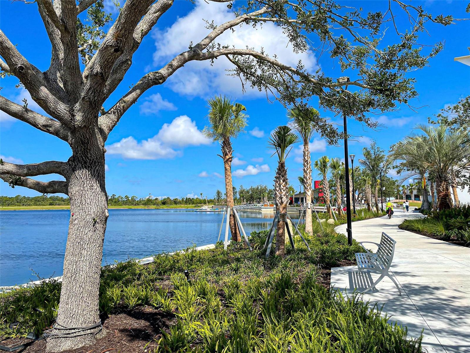 FARMINGTON VISTAS - Residential