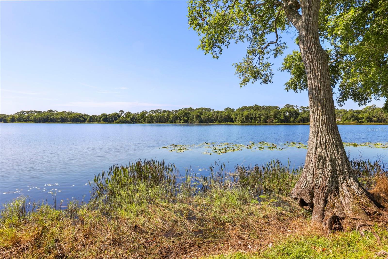BAY LAKE ESTATES - Residential