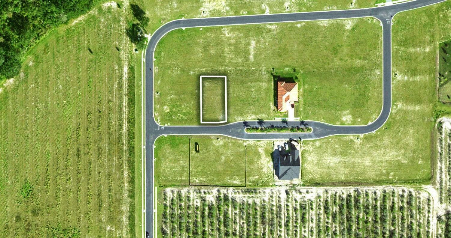Build your future in the established Water Ridge community! This 0.22-acre residential homesite rests off of a paved road with a nicely cleared landscape that makes it easy to develop your vision from the ground-up. Public water, sewer, and electrical service is nearby, helping streamline the building process. Water Ridge is a gated community with 24-hour guard and features an impressive lineup of amenities including a community pool, recreational facilities, basketball courts, tennis courts, and pickleball courts. HOA fees are paid annually and include access to these shared amenities. There are multiple lakes located just minutes away, making this an ideal option for those looking to enjoy hours fishing, boating, and enjoying the year-round Florida sunshine. Conveniently located with access to major roadways, this homesite is a great blend of potential, privacy, and peace just waiting to be discovered. Whether planning to build now or hold for future development, this lot presents a well-positioned opportunity in a growing area of Polk County– don’t miss out!