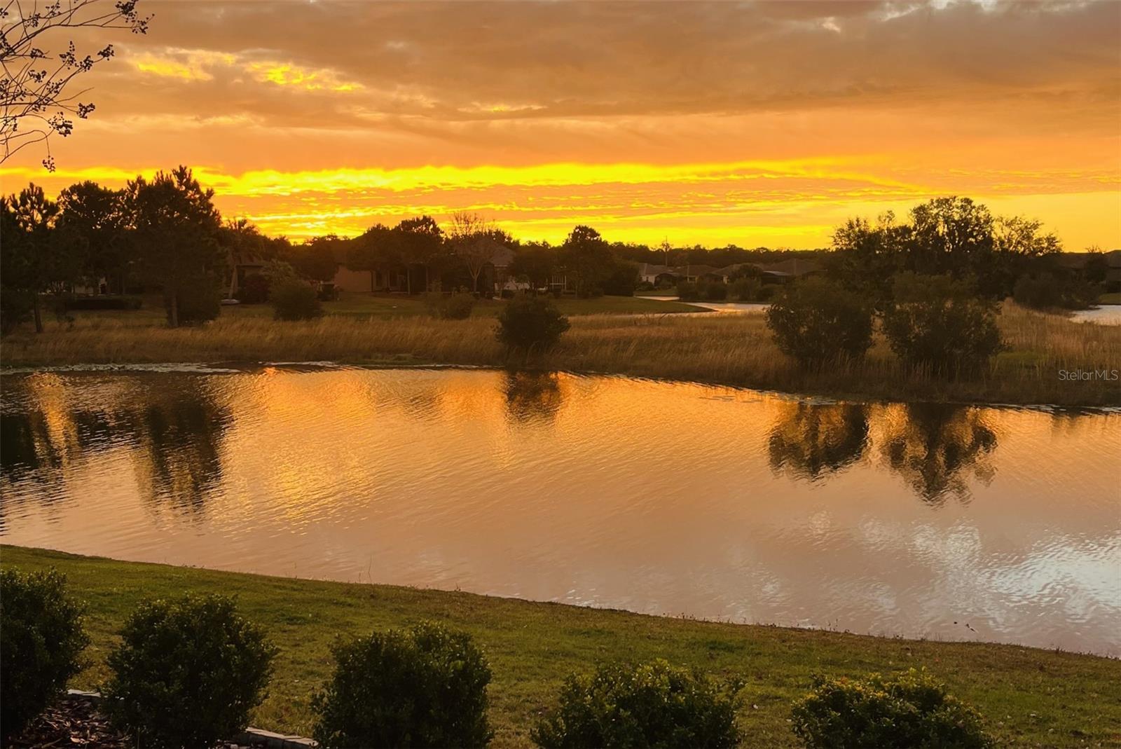 LAKES OF MOUNT DORA - Residential