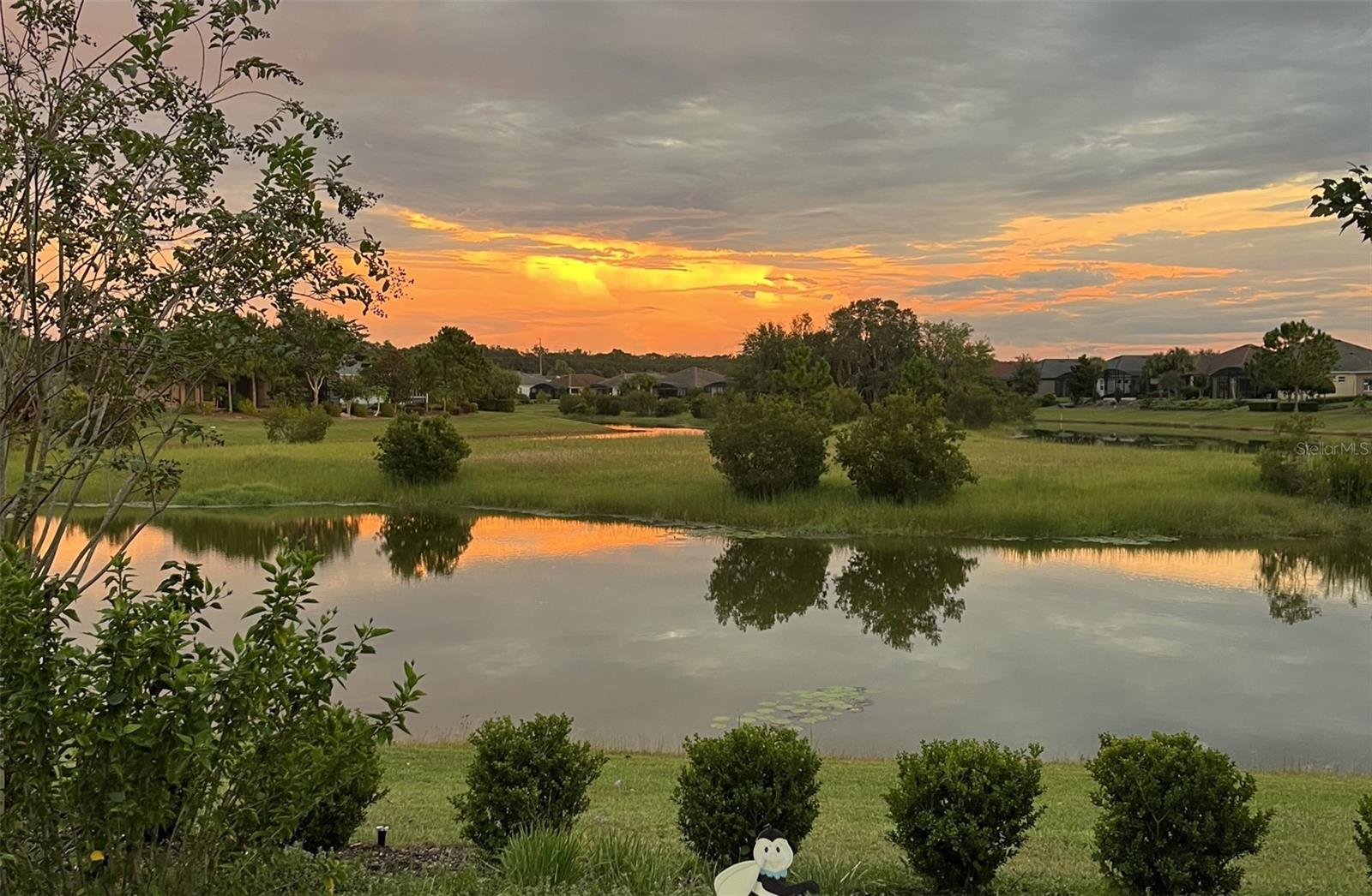 LAKES OF MOUNT DORA - Residential
