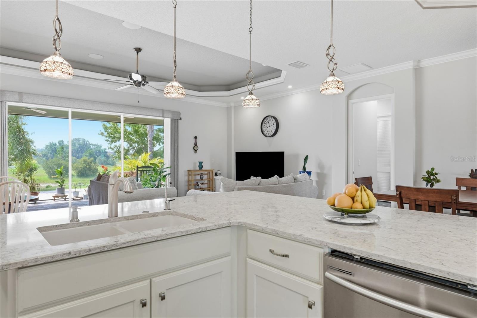 LAKES OF MOUNT DORA - Residential