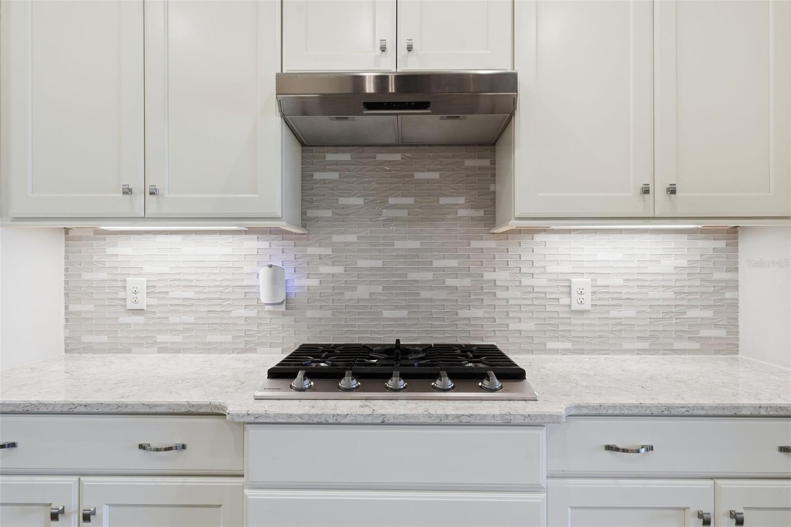 LAKES OF MOUNT DORA - Residential