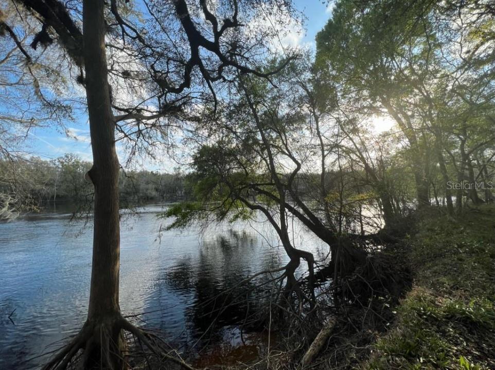 SUWANNEE LANDING SUB - Land